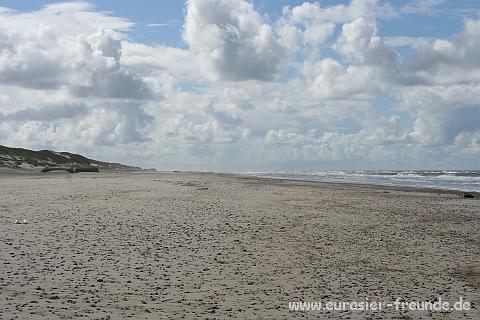 (Foto Goslar)_daenemark_2010_IMG_0169_Strand_Husby_Klit.jpg - Strand auf dem Husby Klit